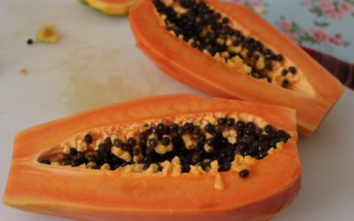 All About Papaya & Papaya Seeds: A Powerful Superfruit For Your Kitchen